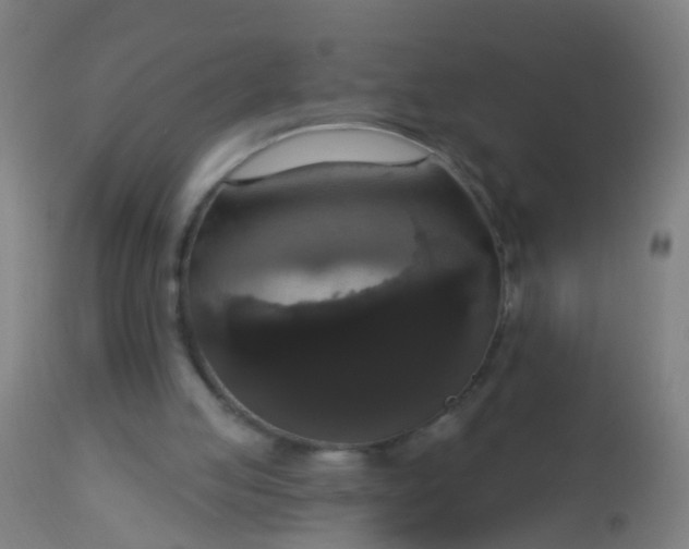 X0000112910053200909071544