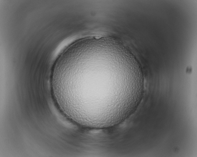 X0000112910054200909071544