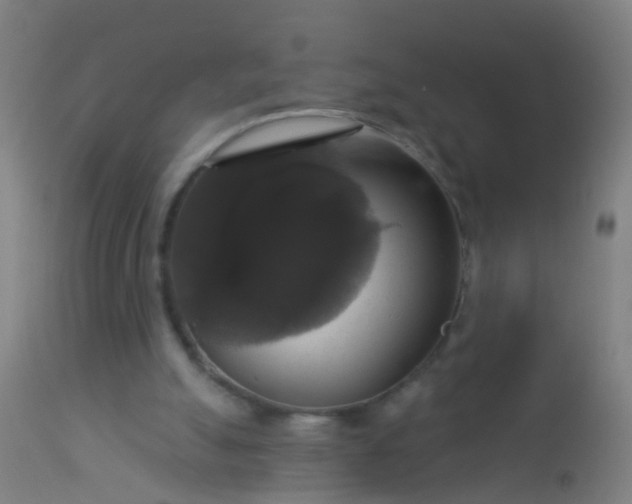 X0000112910055200909071544