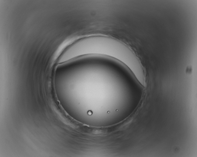 X0000112910056200909071544