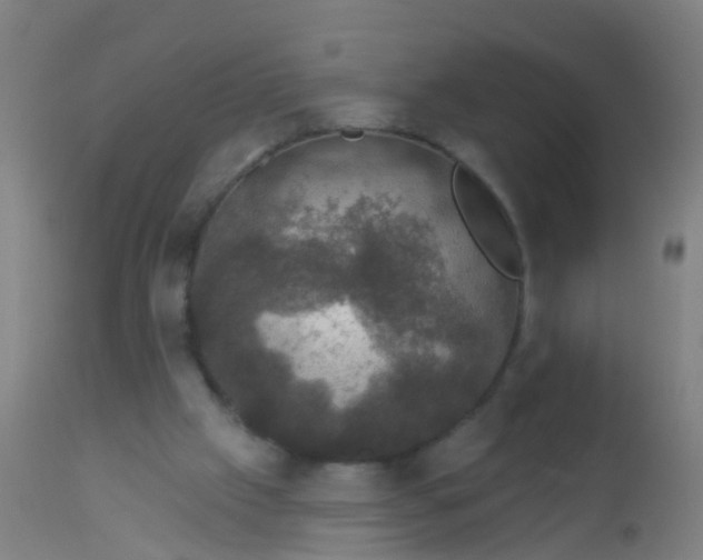 X0000112910057200909071544