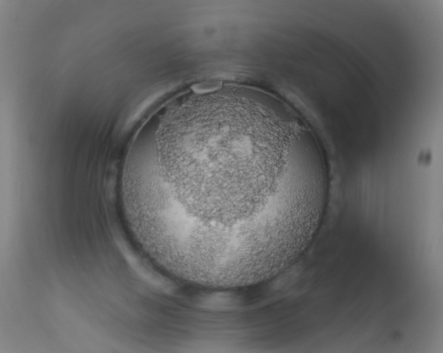 X0000112910058200909071544