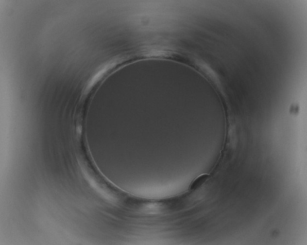 X0000112910059200909071545