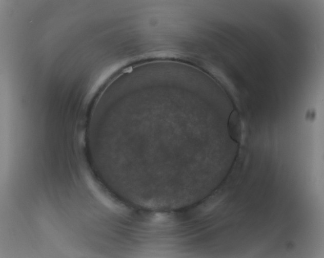 X0000112910060200909071545