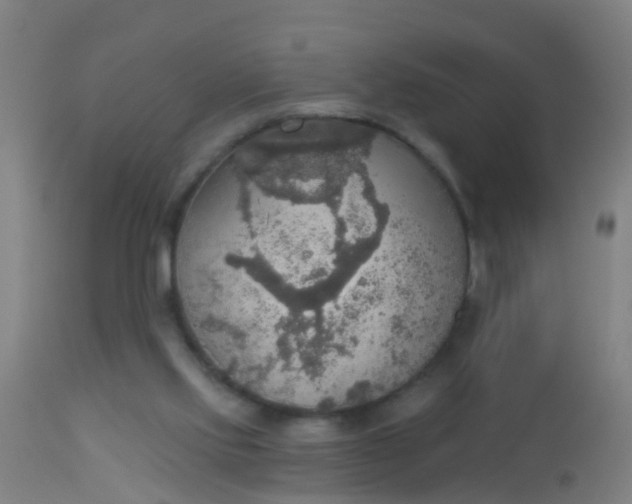 X0000112910061200909071545