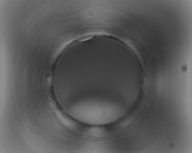 X0000112910063200909071545