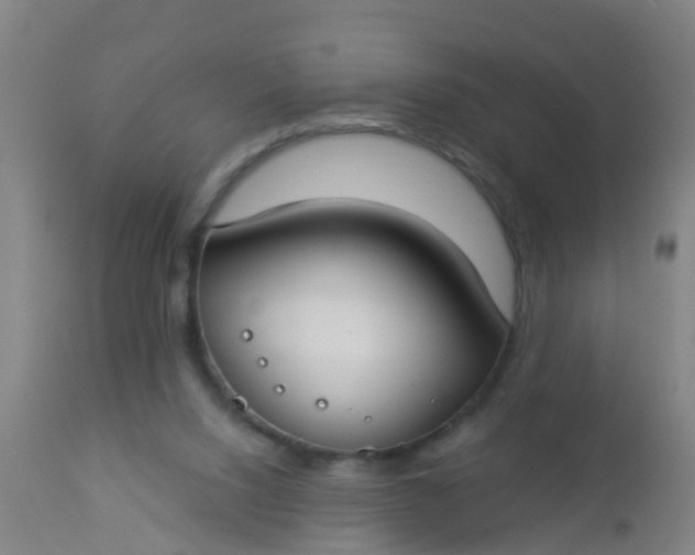 X0000112910064200909071545