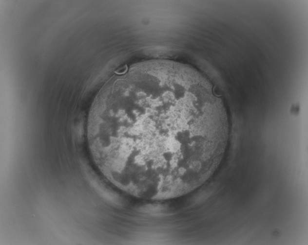 X0000112910065200909071545