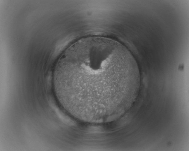 X0000112910066200909071545