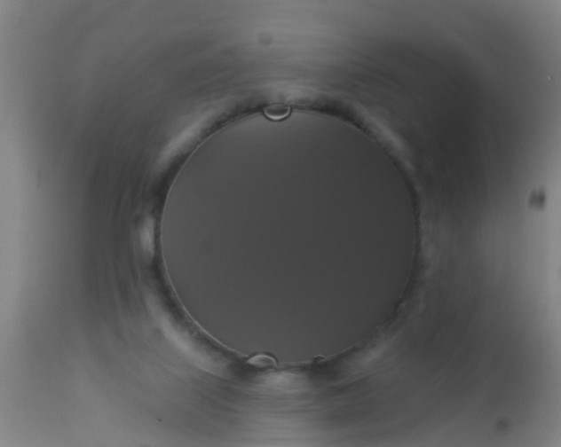 X0000112910067200909071545