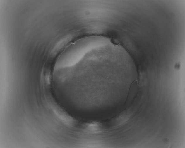 X0000112910068200909071545