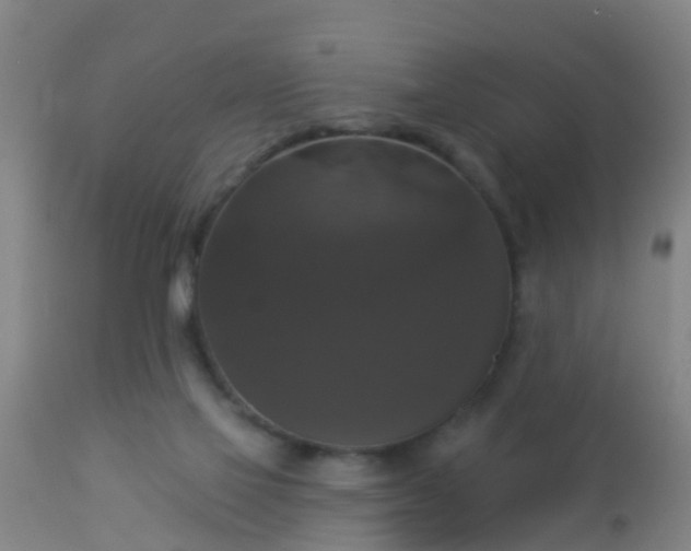 X0000112910069200909071545