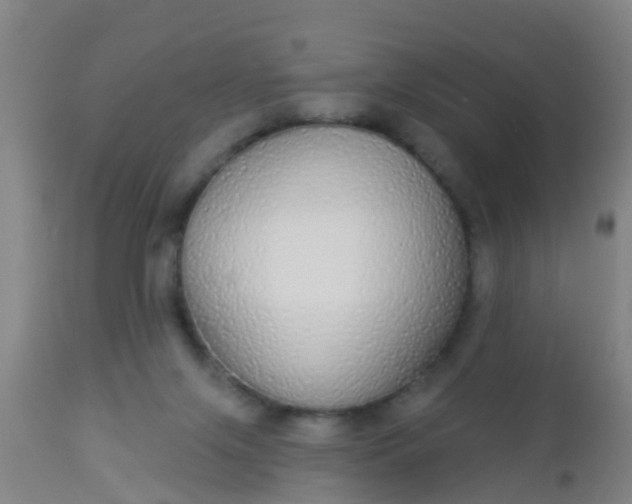 X0000112910071200909071545