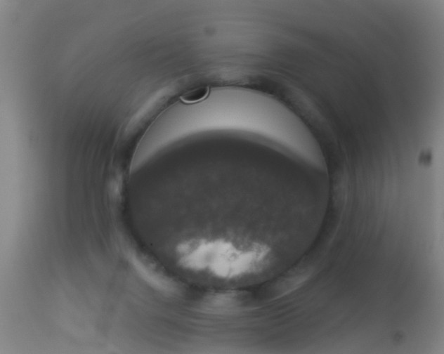 X0000112910072200909071545