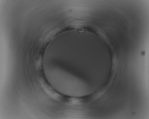 X0000112910073200909071545