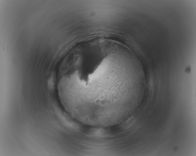 X0000112910074200909071545