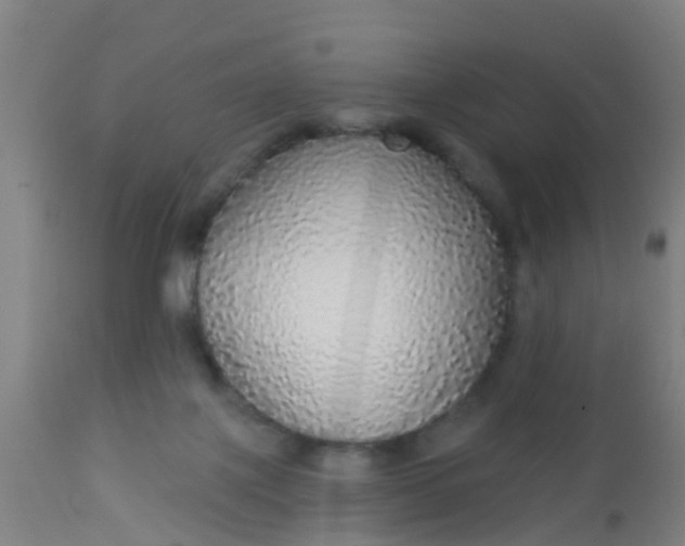 X0000112910075200909071545