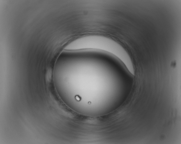 X0000112910076200909071545