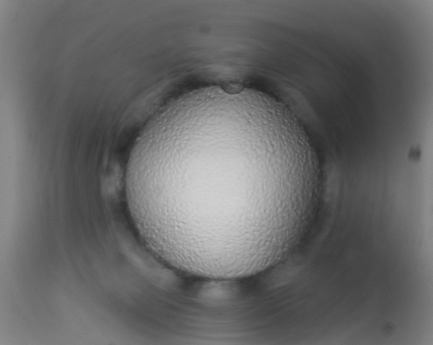 X0000112910077200909071545