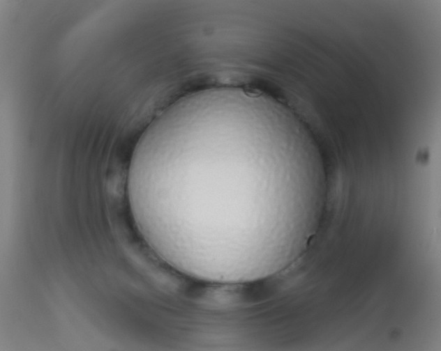 X0000112910078200909071545