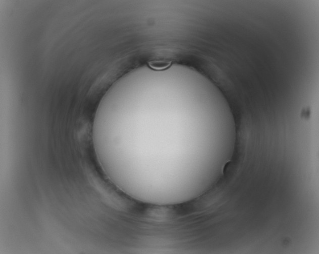 X0000112910079200909071545