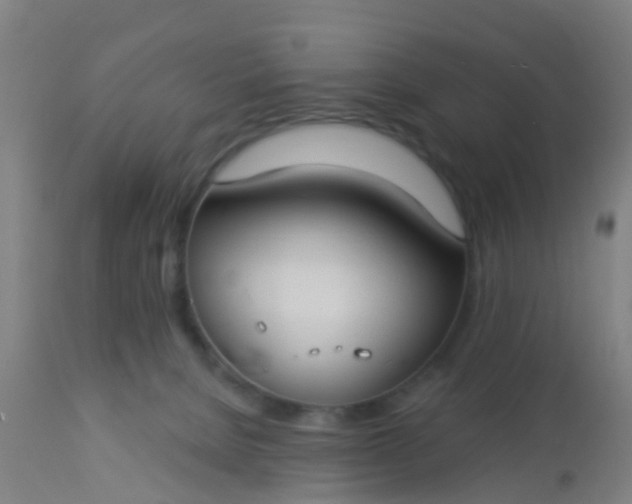 X0000112910080200909071545