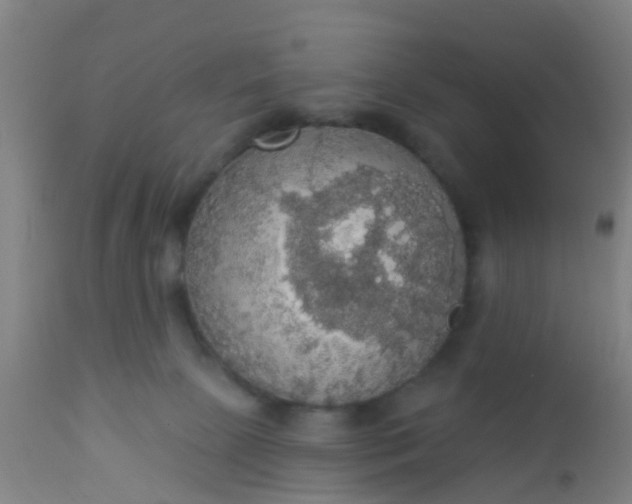 X0000112910081200909071545