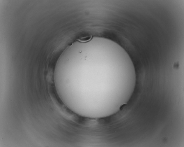 X0000112910083200909071545