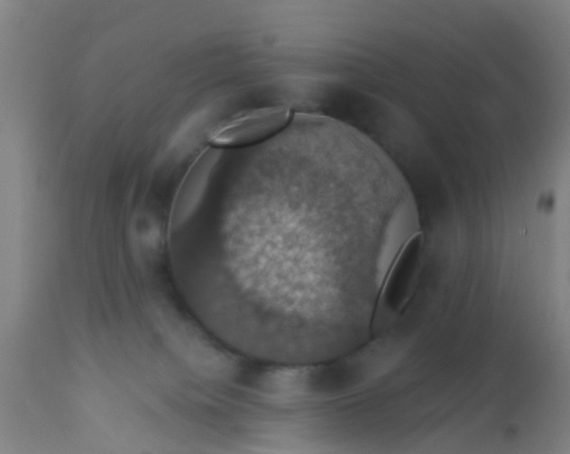 X0000112910084200909071545