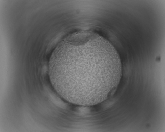 X0000112910085200909071545