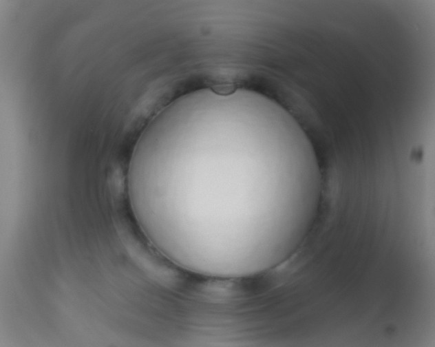 X0000112910086200909071545