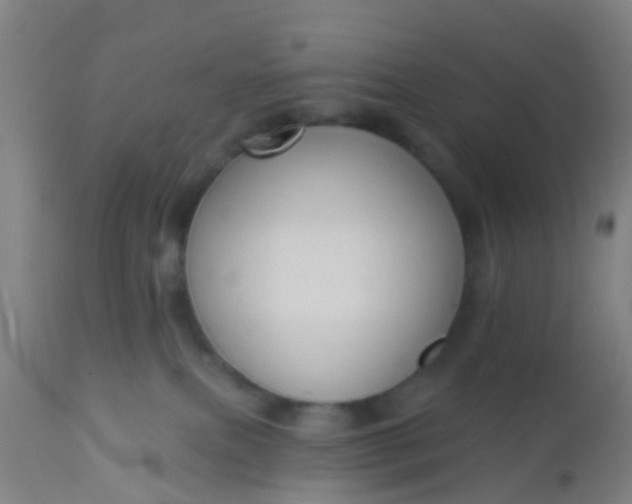 X0000112910087200909071545