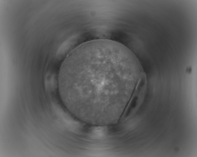 X0000112910088200909071545