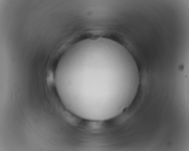 X0000112910089200909071545