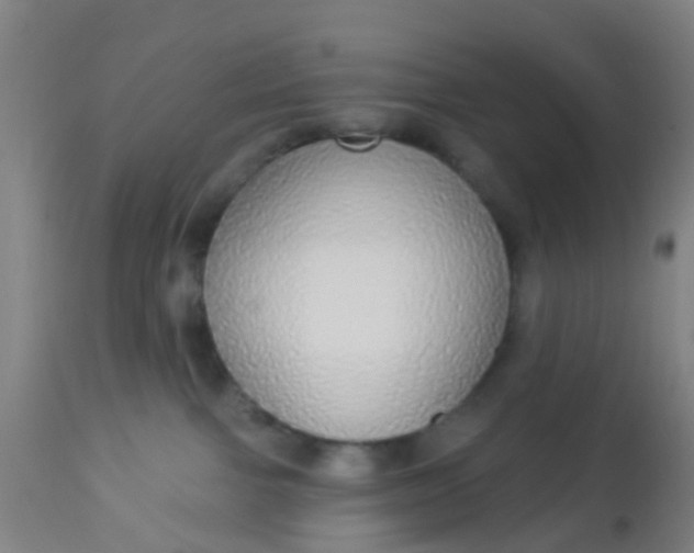 X0000112910091200909071545