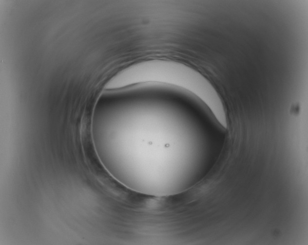 X0000112910092200909071545