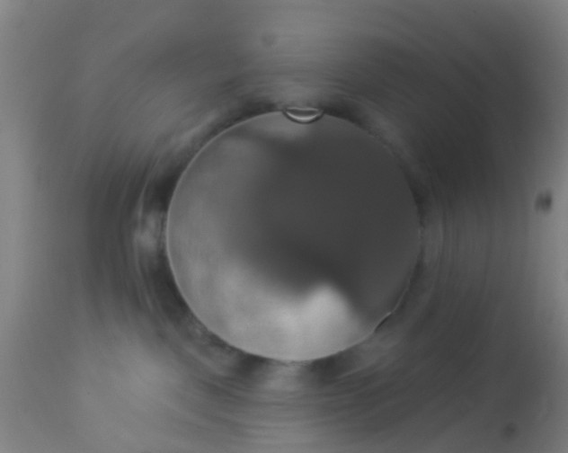 X0000112910093200909071545