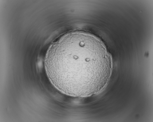 X0000112910094200909071545