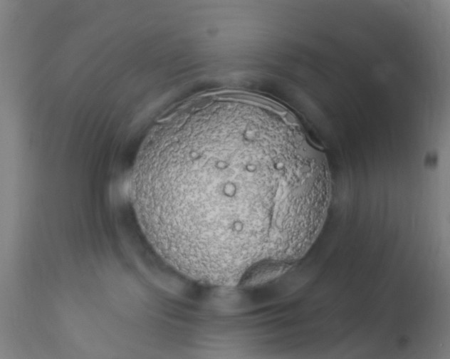 X0000112910095200909071545