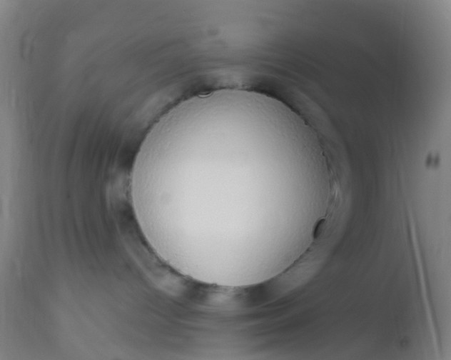 X0000112910096200909071545