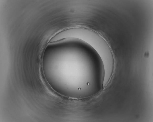 X0000112910097200909071544