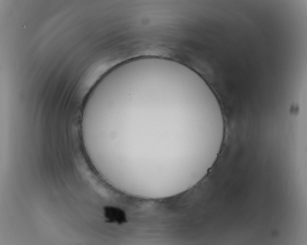 X0000112910098200909071544