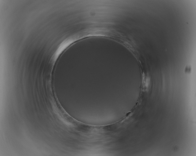 X0000112910099200909071544