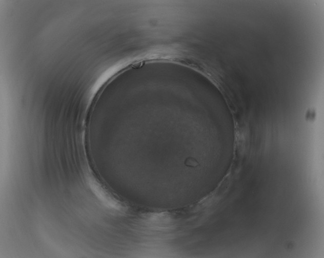 X0000112910100200909071544