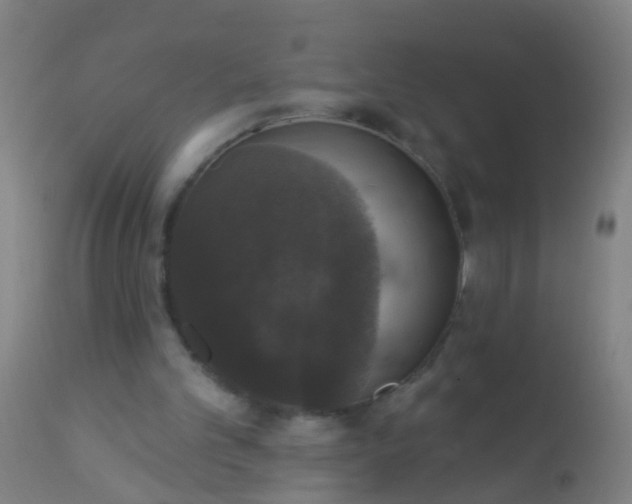 X0000112910101200909071544