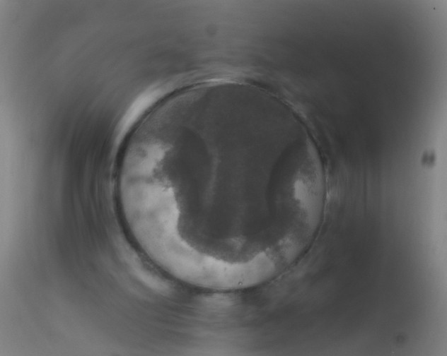 X0000112910102200909071544