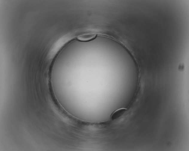 X0000112910103200909071544