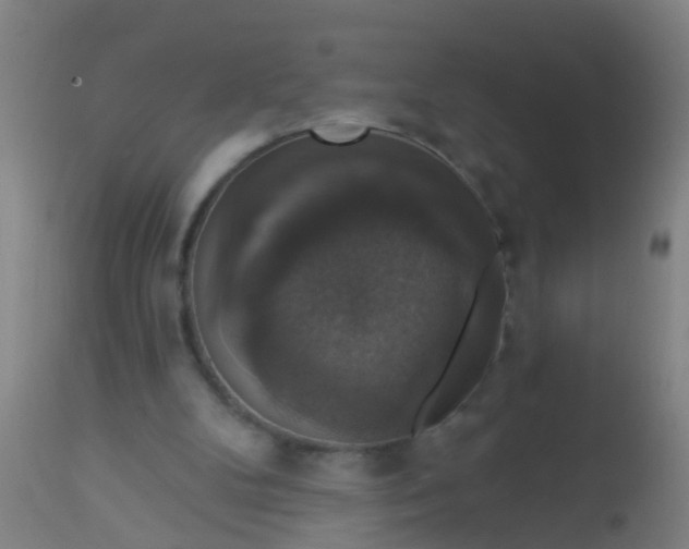 X0000112910104200909071544