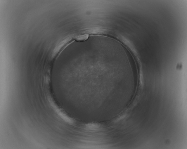 X0000112910105200909071544