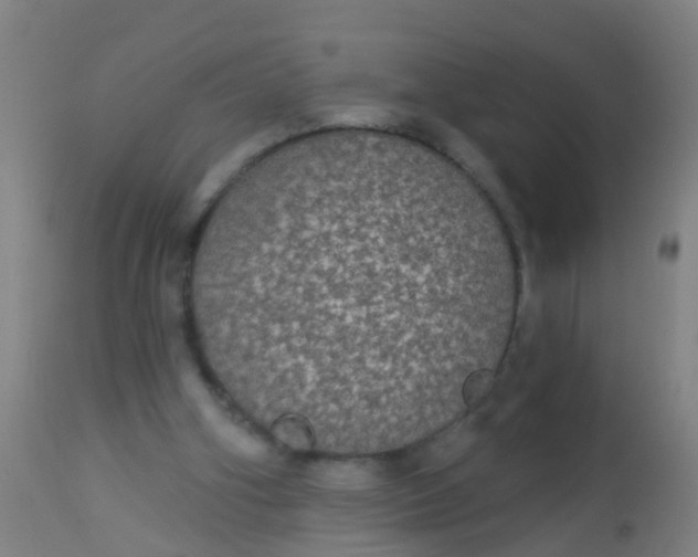 X0000112910106200909071544